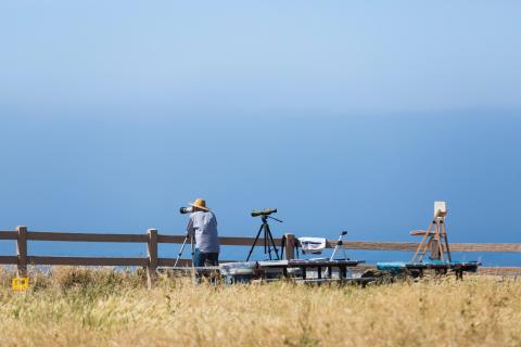 Person looks through binoculars at ocean